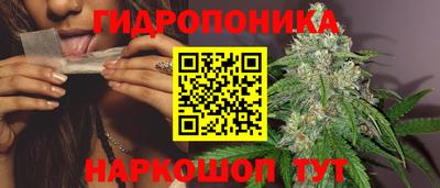 твердый Севастополь