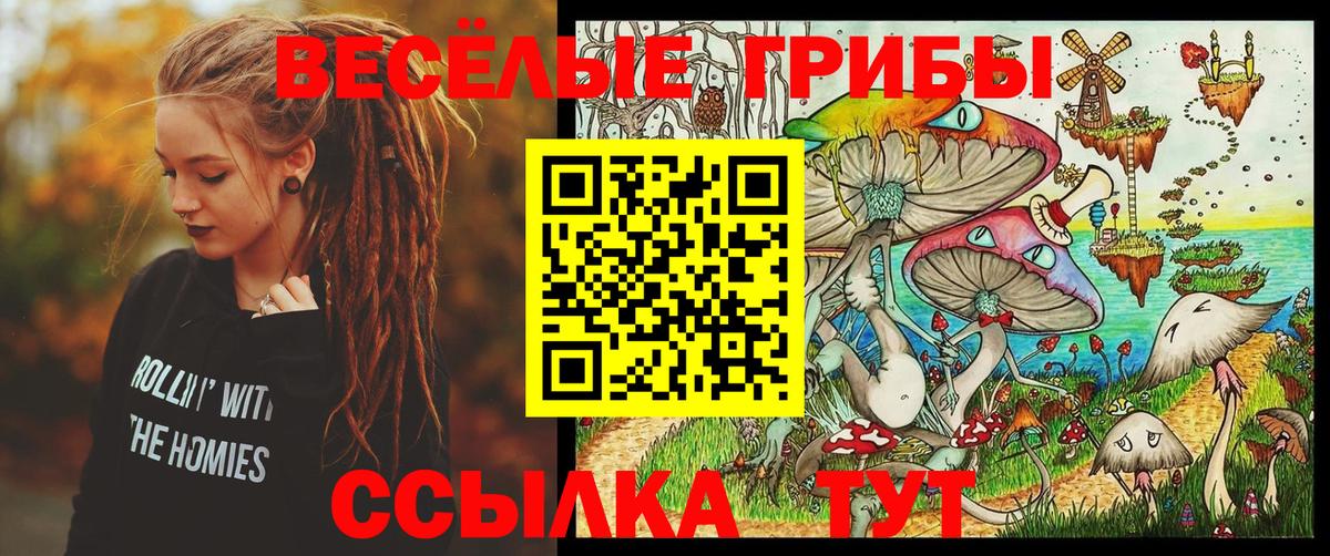 Галлюциногенные грибы Cubensis Аша