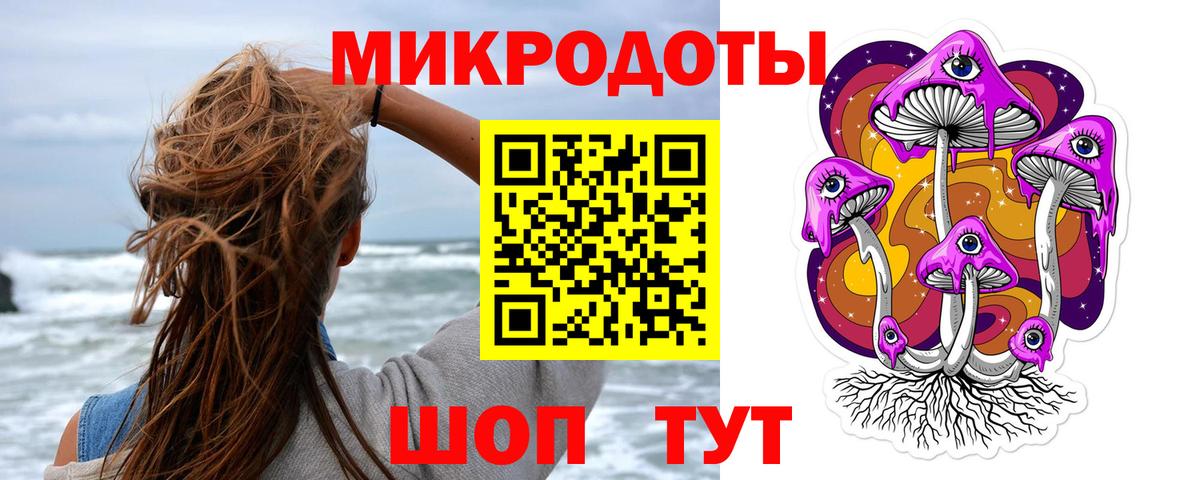 Аша  Галлюциногенные грибы прущие грибы  Вход с VPN 